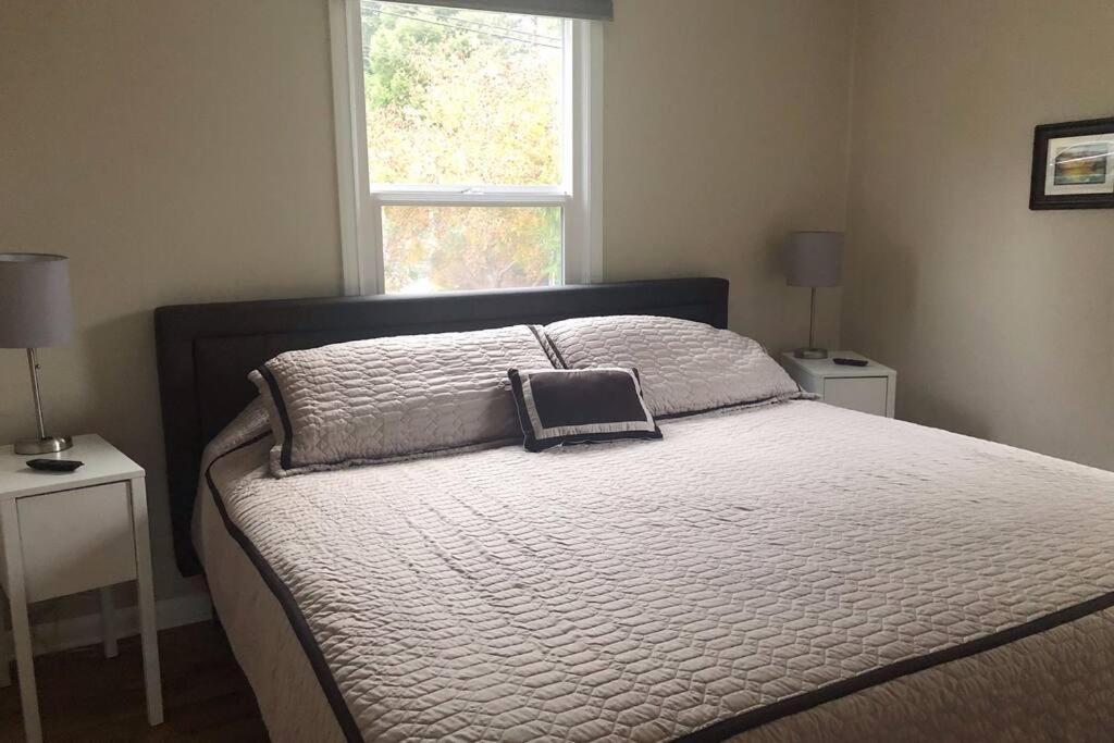 Cozy Crown Hill Carkeek Cottage W/3 Beds, Full Kitchen & Backyard In North سياتل المظهر الخارجي الصورة